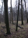Файл=IMG_2532.JPG
Объём=2538KB
Размеры=1736x2304
Дата=Янв 08, 2012 IMG_2532.JPG