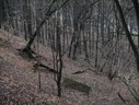 Файл=IMG_2533.JPG
Объём=2478KB
Размеры=2304x1736
Дата=Янв 08, 2012 IMG_2533.JPG