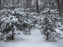 Файл=IMG_2549.JPG
Объём=2401KB
Размеры=2304x1736
Дата=Янв 08, 2012 IMG_2549.JPG