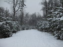 Файл=IMG_2550.JPG
Объём=2345KB
Размеры=2304x1736
Дата=Янв 08, 2012 IMG_2550.JPG