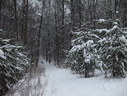 Файл=IMG_2551.JPG
Объём=2584KB
Размеры=2304x1736
Дата=Янв 08, 2012 IMG_2551.JPG