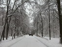 Файл=IMG_5047.JPG
Объём=2928KB
Размеры=2304x1736
Дата=Янв 08, 2012 IMG_5047.JPG