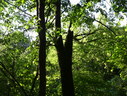 Файл=IMG_6093.JPG
Объём=3180KB
Размеры=2304x1736
Дата=Янв 08, 2012 IMG_6093.JPG