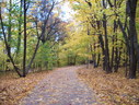 Файл=IMG_7903.JPG
Объём=2592KB
Размеры=2304x1736
Дата=Янв 08, 2012 IMG_7903.JPG