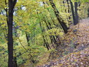 Файл=IMG_7907.JPG
Объём=2912KB
Размеры=2304x1736
Дата=Янв 08, 2012 IMG_7907.JPG