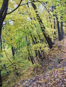 Файл=IMG_7908.JPG
Объём=2813KB
Размеры=1736x2304
Дата=Янв 08, 2012 IMG_7908.JPG