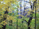 Файл=IMG_7909.JPG
Объём=3129KB
Размеры=2304x1736
Дата=Янв 08, 2012 IMG_7909.JPG