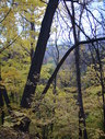 Файл=IMG_7912.JPG
Объём=2953KB
Размеры=1736x2304
Дата=Янв 08, 2012 IMG_7912.JPG