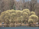 Файл=IMG_1325.JPG
Объём=2872KB
Размеры=2304x1736
Дата=Янв 08, 2012 IMG_1325.JPG