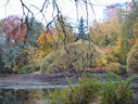 Файл=IMG_7902.JPG
Объём=2890KB
Размеры=2304x1736
Дата=Янв 08, 2012 IMG_7902.JPG