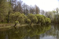 Файл=18006.JPG
Объём=80KB
Размеры=640x429
Дата=Апр 05, 2009 18006.JPG