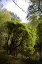 Файл=18008.JPG
Объём=107KB
Размеры=429x640
Дата=Апр 05, 2009 18008.JPG