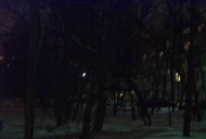 Файл=20012.JPG
Объём=53KB
Размеры=640x429
Дата=Апр 05, 2009 20012.JPG