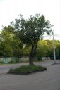 Файл=20054.JPG
Объём=75KB
Размеры=429x640
Дата=Апр 05, 2009 20054.JPG