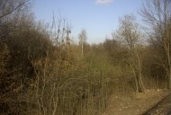 Файл=20073.JPG
Объём=81KB
Размеры=640x429
Дата=Апр 05, 2009 20073.JPG