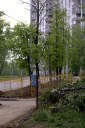 Файл=20109.JPG
Объём=99KB
Размеры=429x640
Дата=Апр 05, 2009 20109.JPG