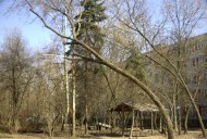 Файл=20147.JPG
Объём=119KB
Размеры=640x429
Дата=Апр 05, 2009 20147.JPG