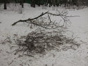 Файл=IMG_5003.JPG
Объём=1912KB
Размеры=2304x1736
Дата=Янв 08, 2012 IMG_5003.JPG