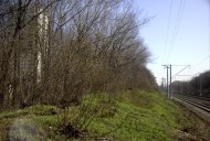 Файл=25008.JPG
Объём=104KB
Размеры=640x429
Дата=Апр 05, 2009 25008.JPG