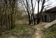 Файл=25009.JPG
Объём=111KB
Размеры=640x429
Дата=Апр 05, 2009 25009.JPG