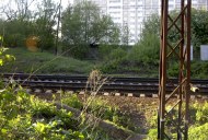 Файл=25012.JPG
Объём=123KB
Размеры=640x429
Дата=Апр 05, 2009 25012.JPG