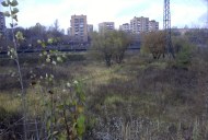 Файл=27019.JPG
Объём=82KB
Размеры=640x429
Дата=Апр 05, 2009 27019.JPG
