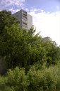 Файл=27024.JPG
Объём=87KB
Размеры=429x640
Дата=Апр 05, 2009 27024.JPG