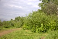 Файл=27027.JPG
Объём=91KB
Размеры=640x429
Дата=Апр 05, 2009 27027.JPG