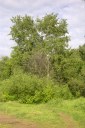 Файл=27036.JPG
Объём=96KB
Размеры=429x640
Дата=Апр 05, 2009 27036.JPG