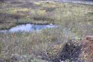 Файл=27042.JPG
Объём=99KB
Размеры=640x429
Дата=Апр 05, 2009 27042.JPG