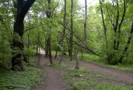 Файл=27059.JPG
Объём=110KB
Размеры=640x429
Дата=Апр 05, 2009 27059.JPG