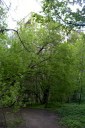 Файл=27061.JPG
Объём=112KB
Размеры=429x640
Дата=Апр 05, 2009 27061.JPG