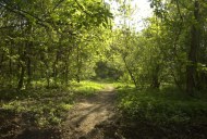 Файл=27066.JPG
Объём=116KB
Размеры=640x429
Дата=Апр 05, 2009 27066.JPG