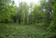 Файл=27067.JPG
Объём=116KB
Размеры=640x429
Дата=Апр 05, 2009 27067.JPG