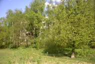 Файл=27068.JPG
Объём=116KB
Размеры=640x429
Дата=Апр 05, 2009 27068.JPG