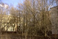 Файл=27073.JPG
Объём=121KB
Размеры=640x429
Дата=Апр 05, 2009 27073.JPG