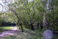 Файл=27076.JPG
Объём=132KB
Размеры=640x429
Дата=Апр 05, 2009 27076.JPG