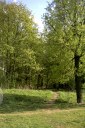 Файл=27077.JPG
Объём=134KB
Размеры=429x640
Дата=Апр 05, 2009 27077.JPG