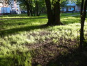 Файл=IMG_5782.JPG
Объём=2970KB
Размеры=2304x1736
Дата=Янв 08, 2012 IMG_5782.JPG