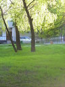Файл=IMG_5784.JPG
Объём=2710KB
Размеры=1736x2304
Дата=Янв 08, 2012 IMG_5784.JPG