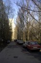 Файл=26038.JPG
Объём=95KB
Размеры=429x640
Дата=Апр 05, 2009 26038.JPG