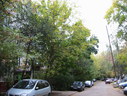 Файл=IMG_2394.JPG
Объём=2495KB
Размеры=2304x1736
Дата=Янв 08, 2012 IMG_2394.JPG