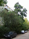 Файл=IMG_2395.JPG
Объём=2283KB
Размеры=1736x2304
Дата=Янв 08, 2012 IMG_2395.JPG