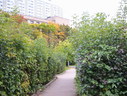 Файл=IMG_2400.JPG
Объём=2562KB
Размеры=2304x1736
Дата=Янв 08, 2012 IMG_2400.JPG