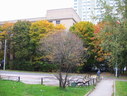 Файл=IMG_2404.JPG
Объём=2588KB
Размеры=2304x1736
Дата=Янв 08, 2012 IMG_2404.JPG