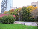 Файл=IMG_2405.JPG
Объём=2368KB
Размеры=2304x1736
Дата=Янв 08, 2012 IMG_2405.JPG