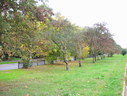 Файл=IMG_2410.JPG
Объём=2656KB
Размеры=2304x1736
Дата=Янв 08, 2012 IMG_2410.JPG