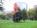 Файл=IMG_2413.JPG
Объём=1857KB
Размеры=2304x1736
Дата=Янв 08, 2012 IMG_2413.JPG