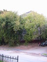 Файл=IMG_2417.JPG
Объём=2146KB
Размеры=1736x2304
Дата=Янв 08, 2012 IMG_2417.JPG