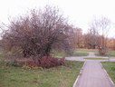 Файл=IMG_2488.JPG
Объём=2094KB
Размеры=2304x1736
Дата=Янв 08, 2012 IMG_2488.JPG